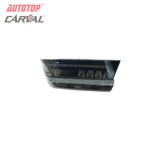 Dragon Scale Taillight para sa BMW New 3 Series G20/G28